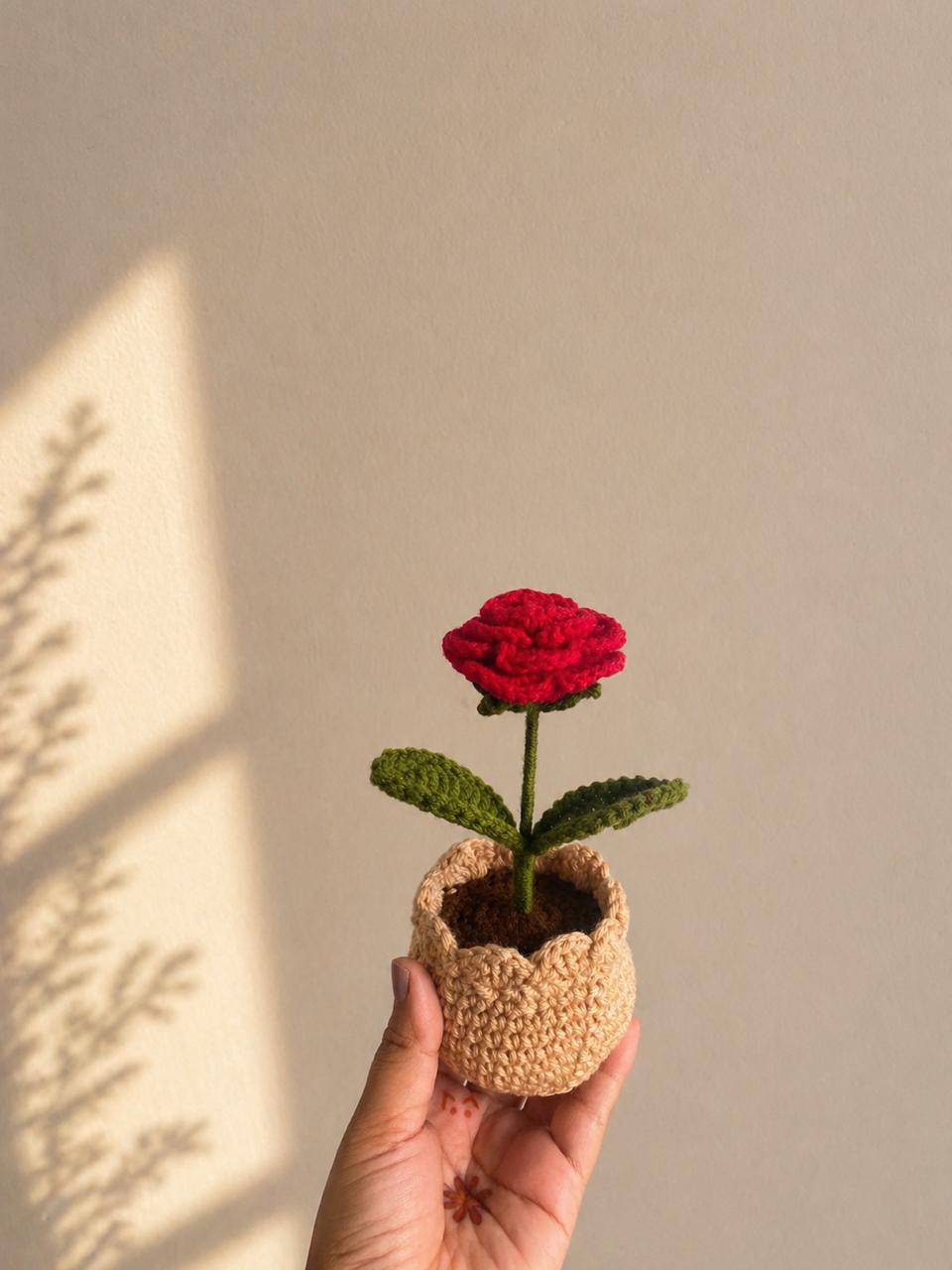 Handmade Crochet Flower Pot