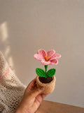 Handmade Crochet Flower Pot