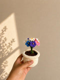 Handmade Crochet Flower Pot