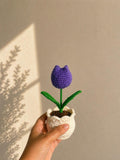 Handmade Crochet Flower Pot