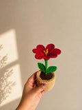 Handmade Crochet Flower Pot