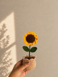 Handmade Crochet Flower Pot