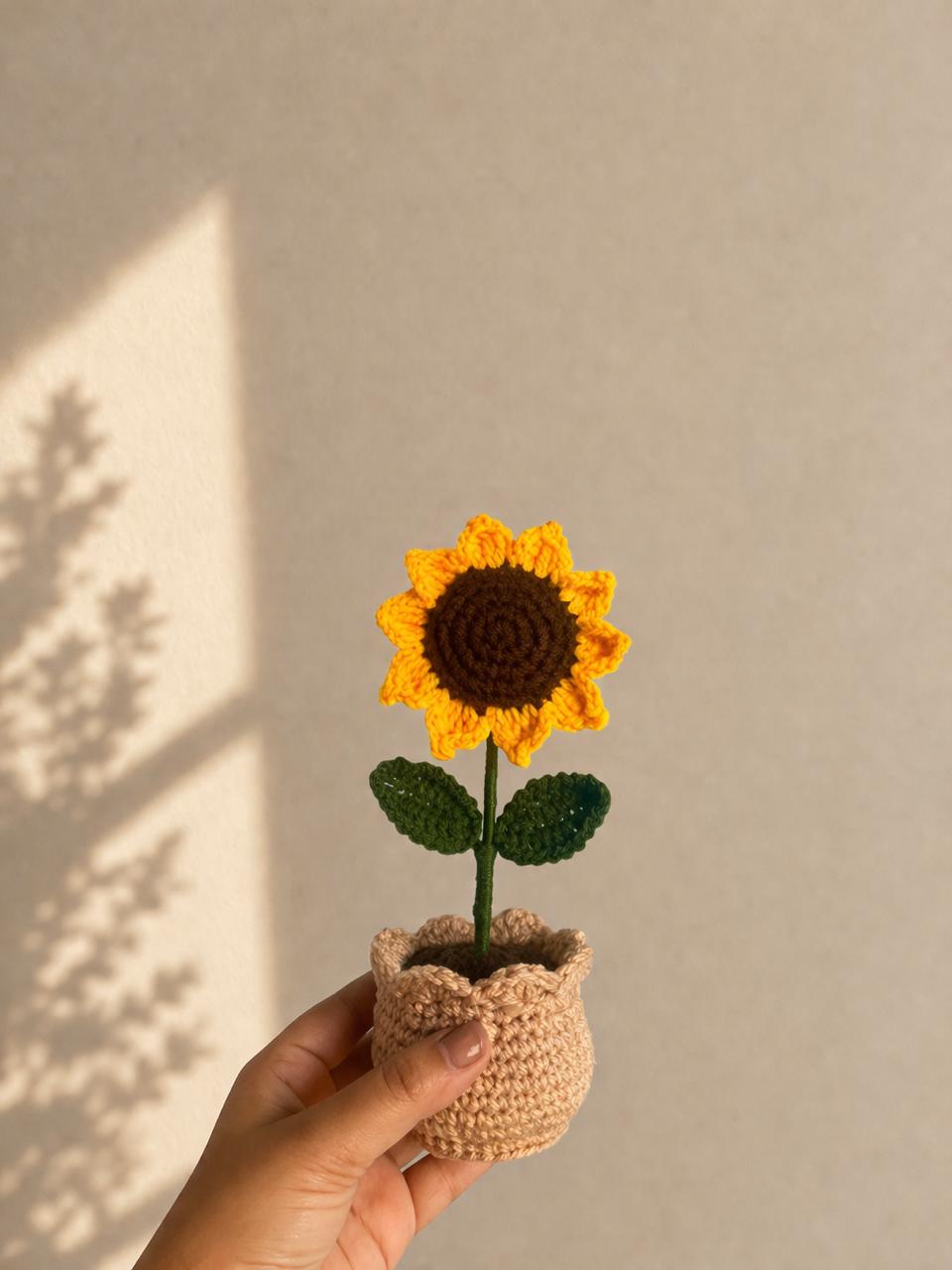 Handmade Crochet Flower Pot